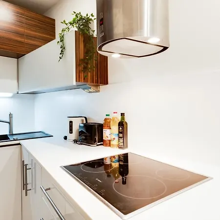 Appartement 2 Bedrooms In Historical Center - Jungmannova