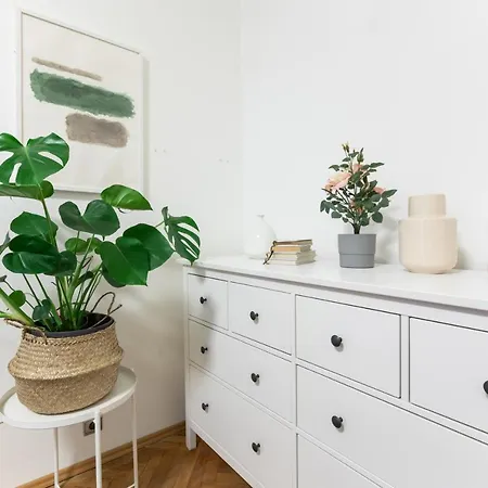 2 Bedrooms In Historical Center - Jungmannova *